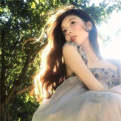 百鸟朝凤 海报